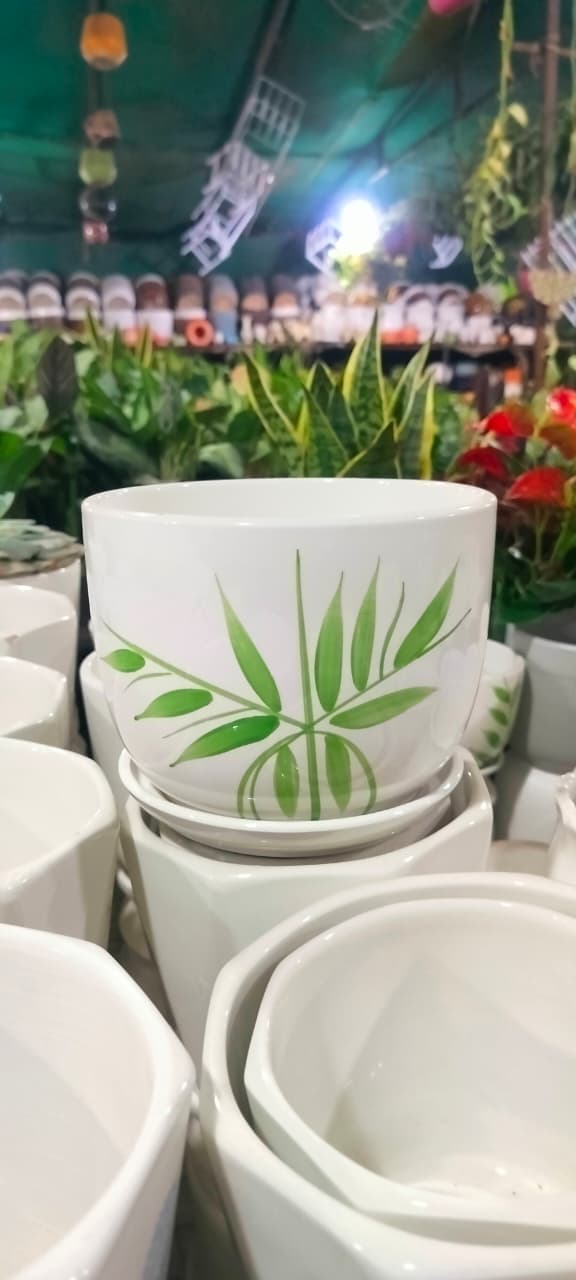 Pots & Planters