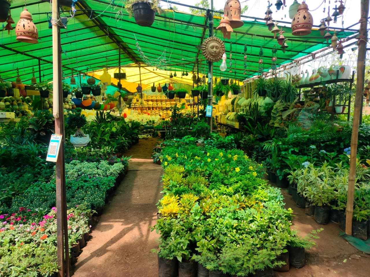 Shivansh Rose Nursery Showcase Image 3